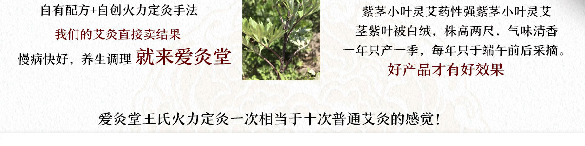 愛灸堂養生