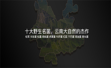 菌小農羊肚菌