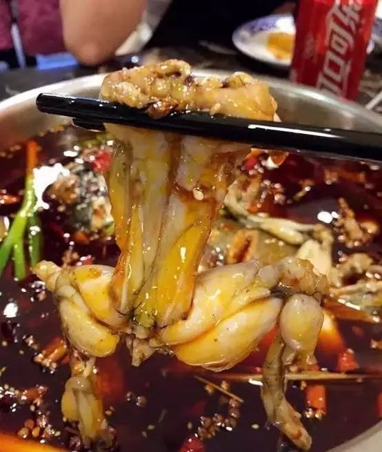 重慶美蛙魚頭火鍋真實加盟案例分享