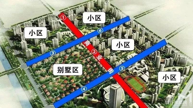 真實開店加盟故事三 夫妻創業另類寵物店加盟