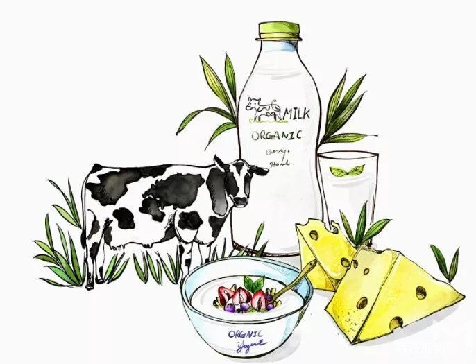 重慶一只酸奶牛加盟費是多少?2019年加盟費新公告