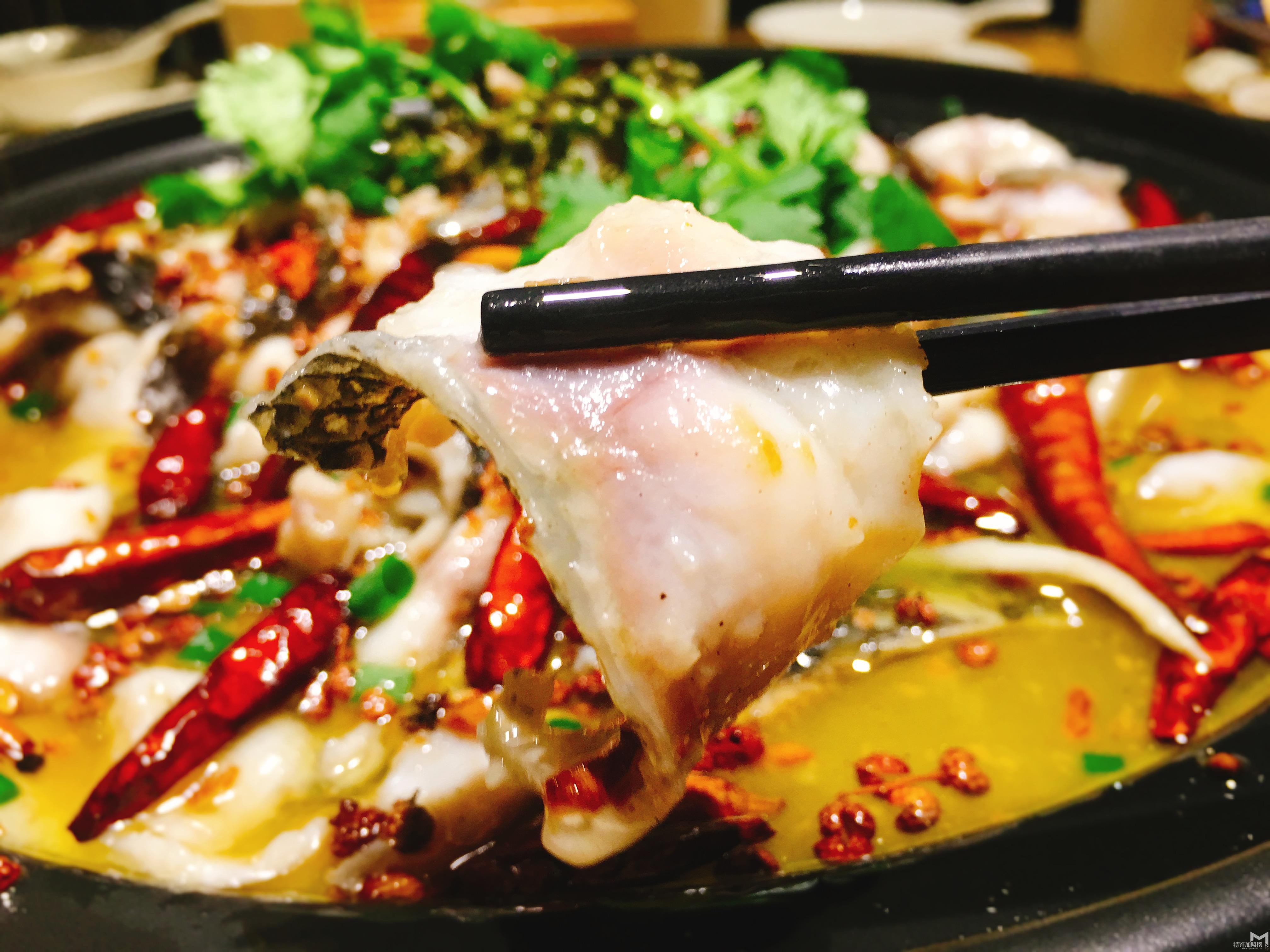 遼寧酸菜魚開店加盟哪家便宜？