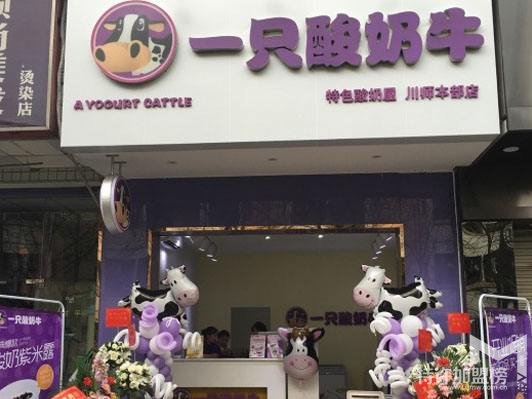 2019重慶一只酸奶牛加盟費是多少?開店加盟新公告