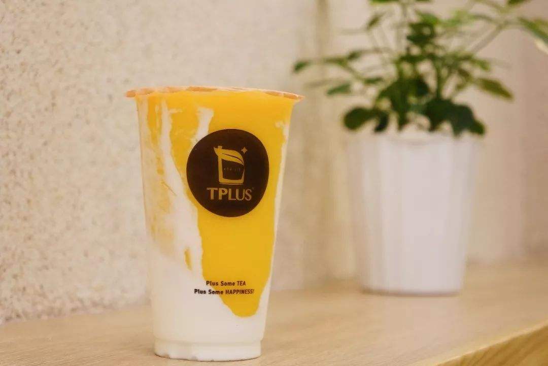 TPLUS茶家加盟支持保障介紹