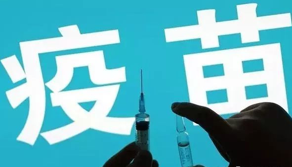 為什么艾灸養生加盟那么火爆?天然無毒副的全能“疫苗”