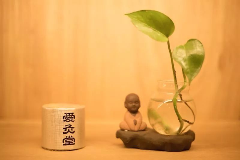 愛灸堂告訴你做艾灸養(yǎng)生為什么要堅(jiān)持?