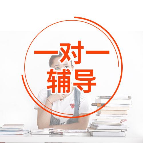  K12在線一對一輔導機構排名成投資藍海，陽光兔扶持加盟者