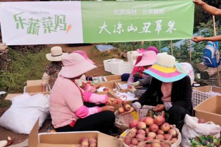 惠州80后青年創(chuàng)新社區(qū)零售模式 樂蔬菜媽致力做美食供應(yīng)商