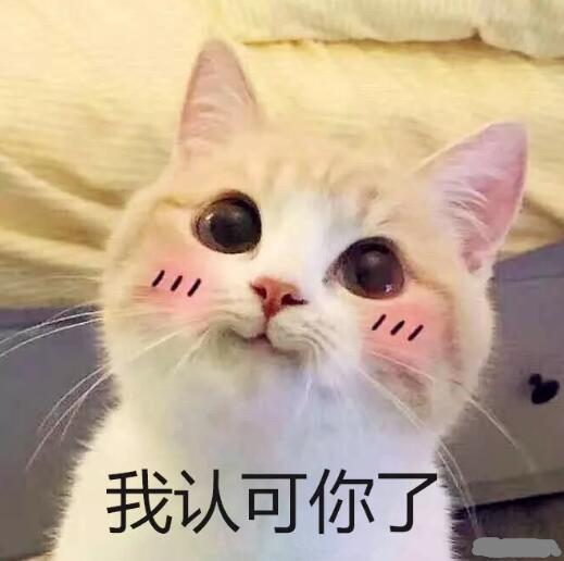 從沃爾瑪關(guān)店背后,看會員經(jīng)濟(jì)的變化
