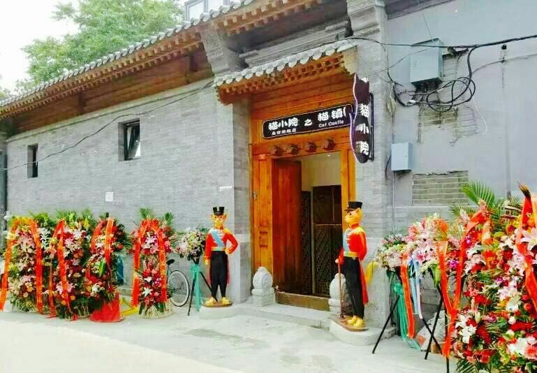 貓小院