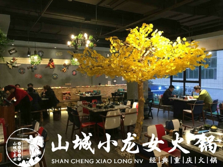 重慶老火鍋加盟哪家好？加盟山城小龍女火鍋，輕松致富