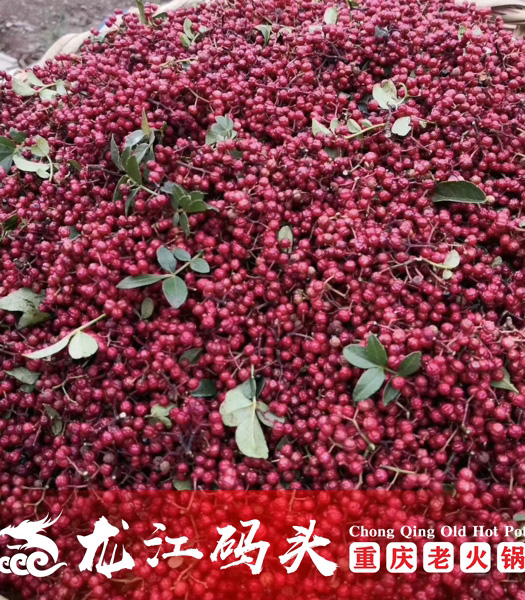 開業8天就能盈虧平衡，龍江碼頭火鍋用了這四招降本增效