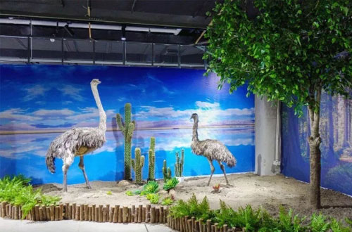 兔小狐室內(nèi)動(dòng)物園加盟