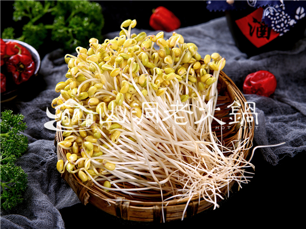 重慶老火鍋哪里***好吃？這家人氣一直居高不下！