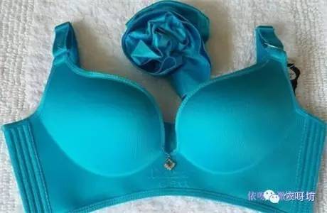 向大大內(nèi)衣介紹資料