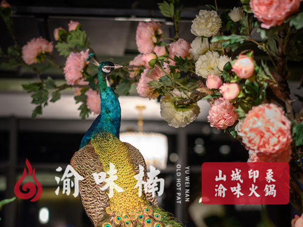 火鍋店加盟費(fèi)一般多少錢(qián)？開(kāi)火鍋店必看