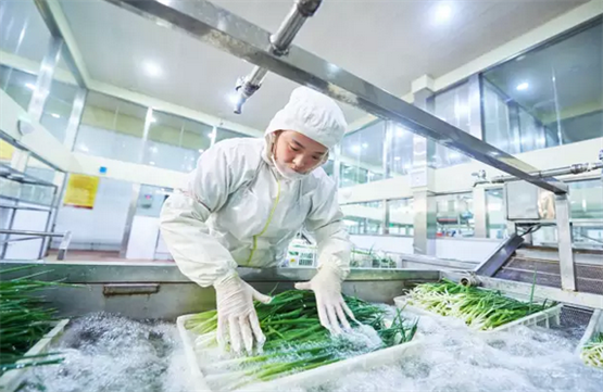 四川特色火鍋加盟店如何有效控制成本？20年經營心得分享！