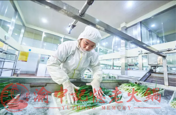 火鍋店的倒閉率？市場可行性分析