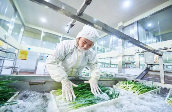 重慶十大火鍋加盟哪家好？為加盟商的創富路保駕護航