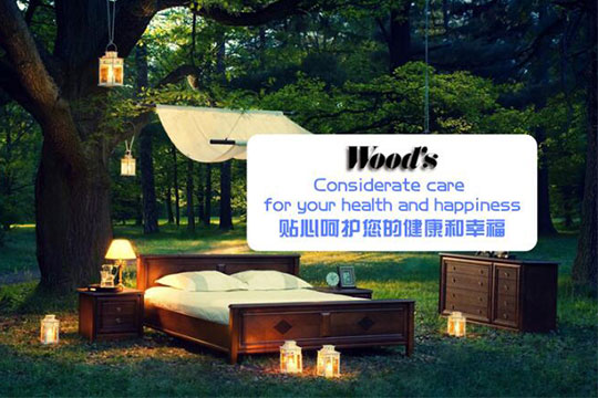 Woods空氣凈化器加盟