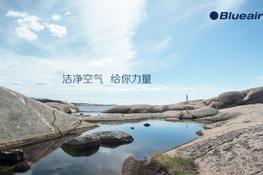 布魯雅爾空氣凈化器