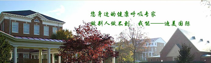 迪美國際環保