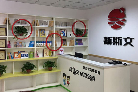 新斯文國學語文加盟