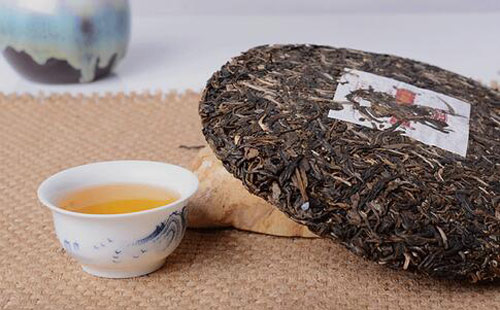 冰島古樹茶、掀起茶文化新風潮