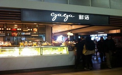 gaga鮮語加盟經營技巧有哪些？加盟店要如何布局？