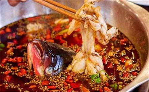 美蛙魚頭火鍋還是哥老官 利潤讓你不擔心