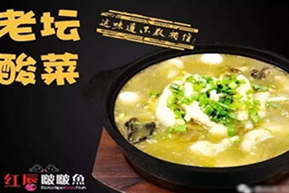 加盟紅唇啵啵魚扶持更多，創業不發愁