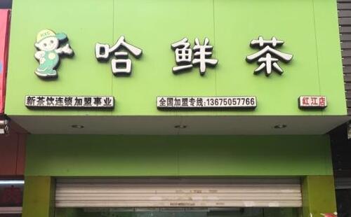 哈鮮茶加盟店 低投資高收益