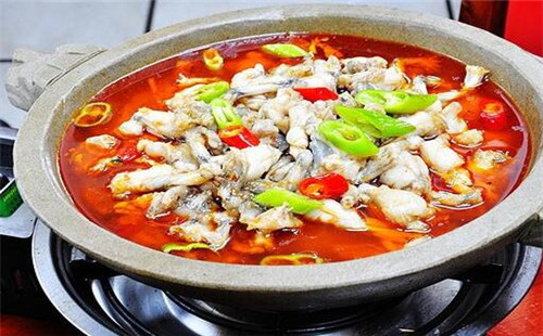舒來喜魚火鍋 帶你創業帶你致富