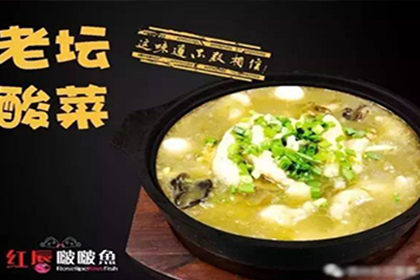 紅唇啵啵魚加盟營養美味好致富
