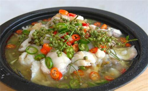 紅唇啵啵魚 是你創業的合適選擇