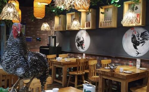 餐飲創(chuàng)業(yè)者如何去經(jīng)營創(chuàng)業(yè)？