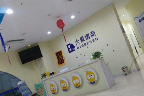 大果情商加盟費要多少