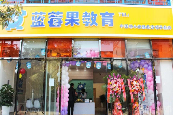 加盟藍(lán)莓果幼小銜接怎么樣