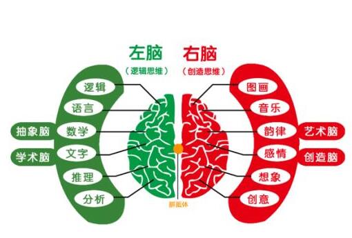 加盟億多星全腦開發怎么樣