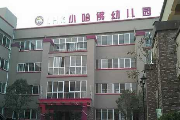 小哈佛加盟費需要多少