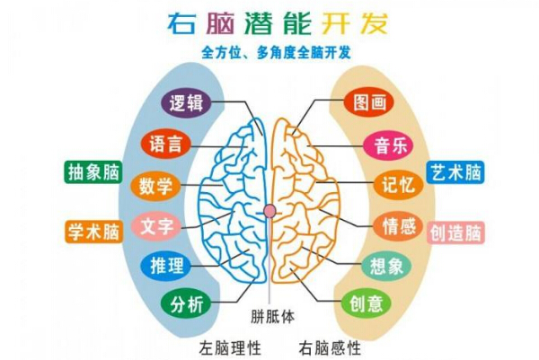 全腦開發(fā)加盟大約需要多少錢，前景怎么樣