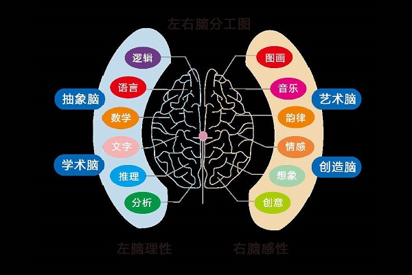 右腦開發有哪些可以加盟