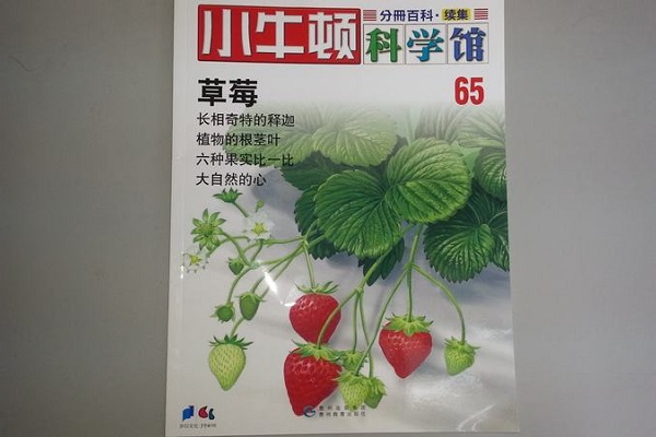 小牛頓科學館加盟費多少