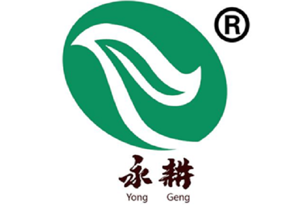 田永耕書法加盟怎么樣
