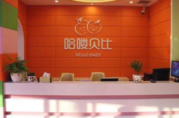 哈嘍貝比早教加盟條件有哪些