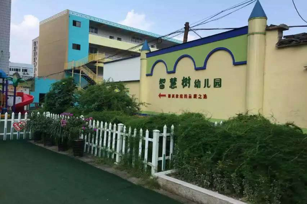 智慧樹幼兒園加費多少錢