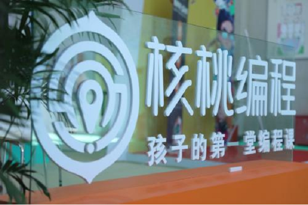 網易有道編程和核桃編程哪個好