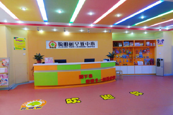 聰明樹早教加盟費用