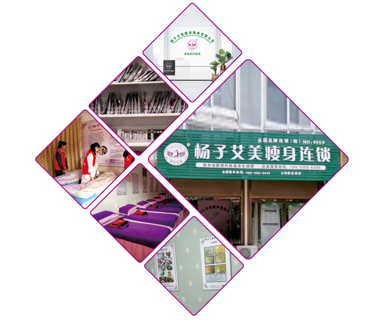 楊子艾美瘦身加盟