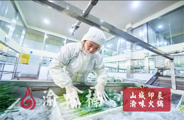 重慶火鍋連鎖店加盟哪家好？成為行業新焦點